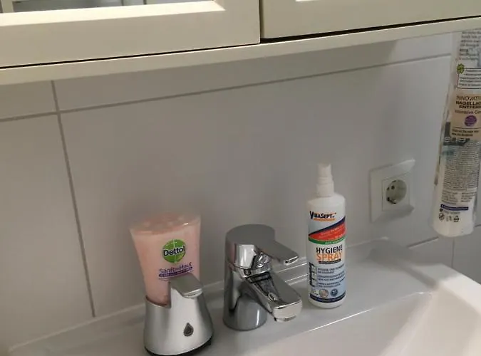 New Flat In Old Town+garage * Steyr