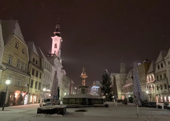 New Flat In Old Town+garage Appartamento Steyr