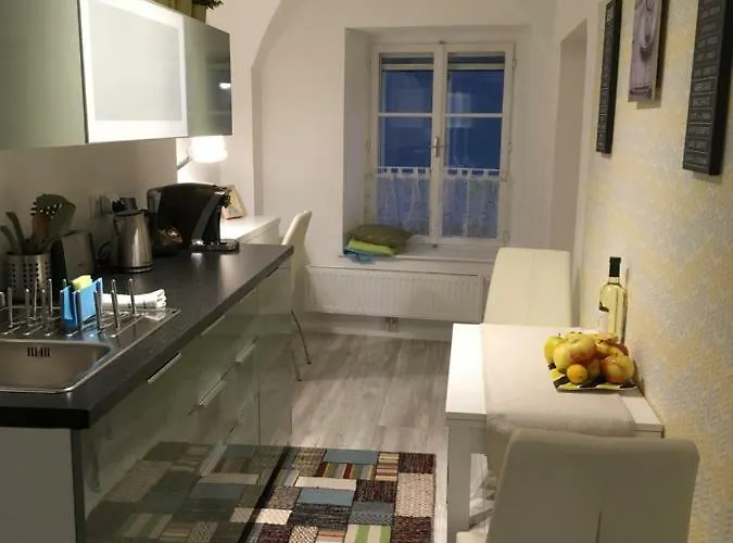 New Flat In Old Town+garage * Steyr